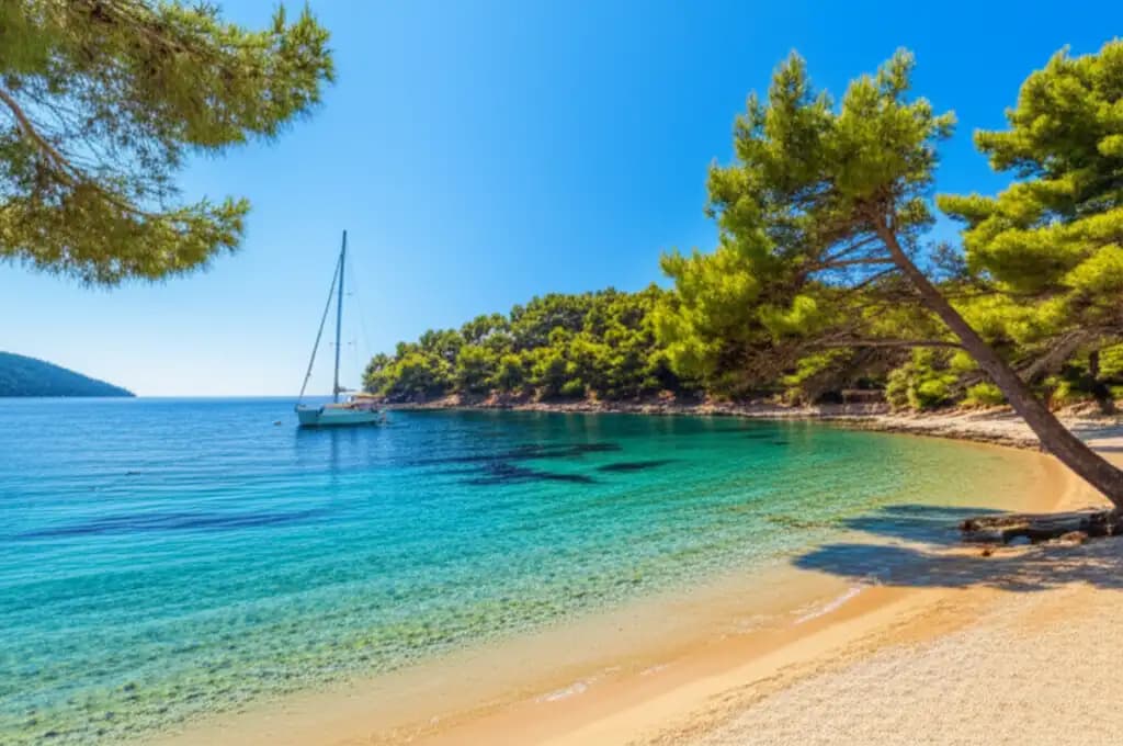 Boncuk Bay (Gökova): Safe Waters for Baby Sharks