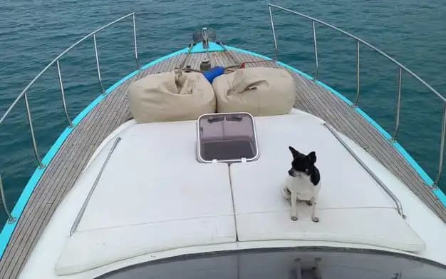 Voordelig en Comfortabel 13-Meter Yacht voor een Dagelijks Trip in Antalya – Up to 8 Gasten 2