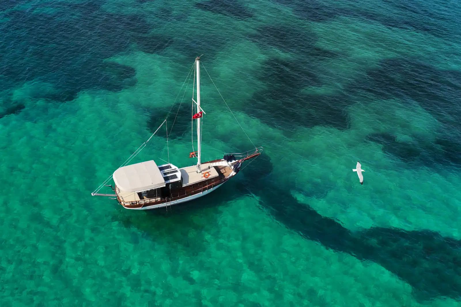 Entdecke die schönsten Buchten mit privatem Boot in Kuşadası! 8
