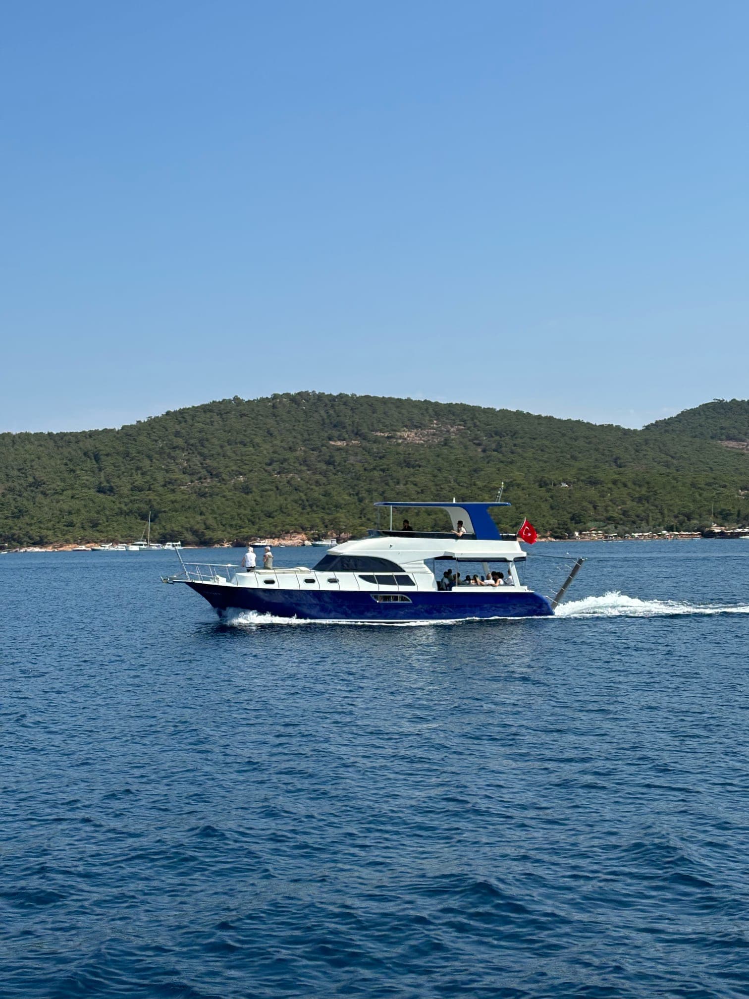 Ayvalık Koyları Turu